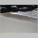 20060826_26Ventura_007 copia.jpg